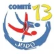 Logo Comité Départemental Judo 13 Bouches-du-Rhône